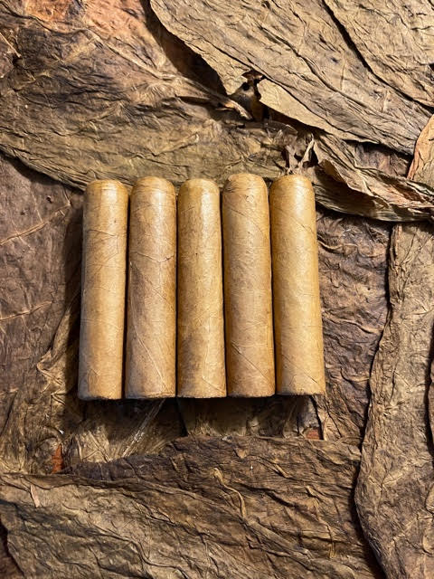 BC Connecticut Magic Short 5pack (4 x 57)