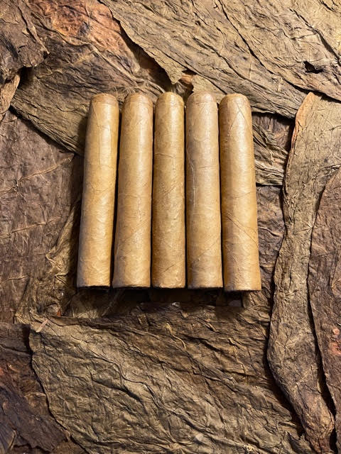 BC Connecticut President 5 pack (5 1/2 x 60)