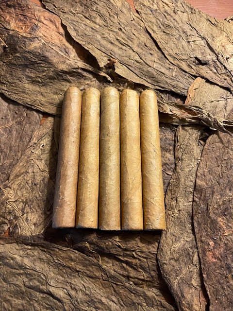 BC Connecticut Robusto 5pack (5 1/2 x 50)